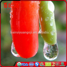 Zero pesticide goji berry goji berries dry goji berry with from ningxia